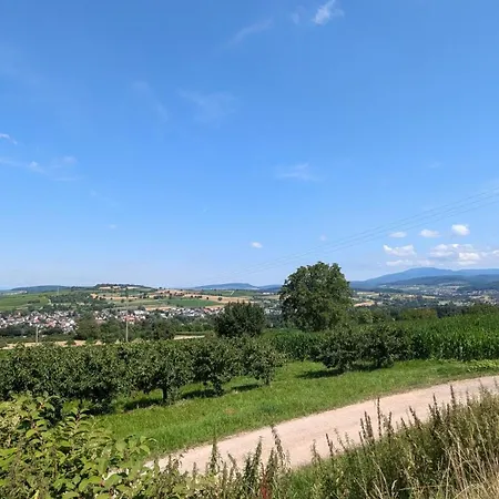 Komfortwohnung Nahe Basel Mit Parkplatz Daire *