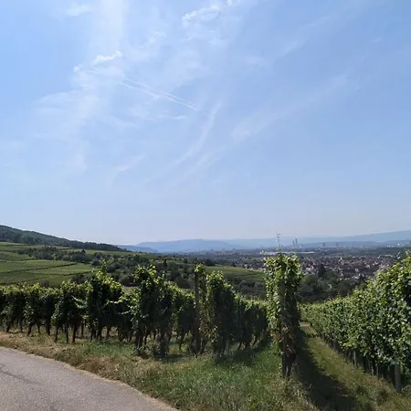 Daire Komfortwohnung Nahe Basel Mit Parkplatz Weil am Rhein